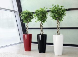 Какие бывают кашпо для цветов: формы, стили, материалы