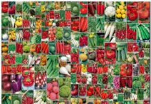 Выбор семян для выращивания рассады