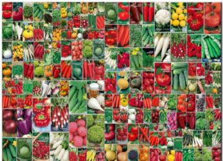 Выбор семян для выращивания рассады