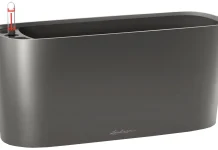 Лечуза в Кашпо: Оригинальное Решение для Растениеводства