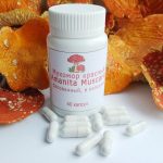 Мухомор в лечебных целях: История, Применение и Осторожность