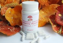 Мухомор в лечебных целях: История, Применение и Осторожность