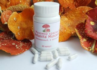 Мухомор в лечебных целях: История, Применение и Осторожность
