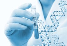 ДНК-Тесты и генетические исследования: Понимание нас самих