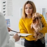 Ветеринарная клиника: Как выбрать ее для вашего питомца