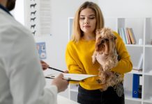 Ветеринарная клиника: Как выбрать ее для вашего питомца