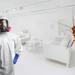 Как избавиться от клопов: Эффективные методы и советы