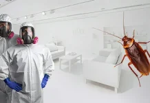 Как избавиться от клопов: Эффективные методы и советы