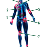 С чего начать лечение позвоночника: руководство к здоровой спине