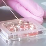 ЭКО: современный путь к материнству и отцовству