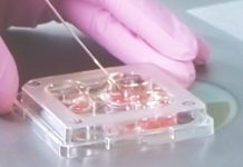 ЭКО: современный путь к материнству и отцовству