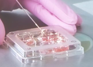 ЭКО: современный путь к материнству и отцовству