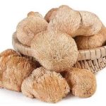 Ежевик гребенчатый свойства и его влияние на здоровье человека