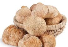 Ежевик гребенчатый свойства и его влияние на здоровье человека