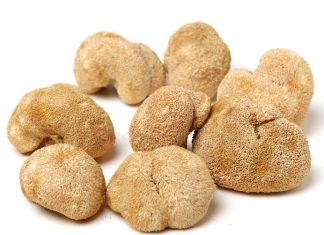 Что такое ежовик гребенчатый?