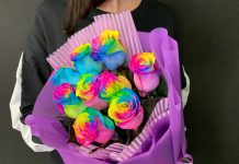 Радужные розы: символика и магия цветного великолепия