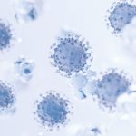 Витамин D: Роль и Значение в Практической Медицины