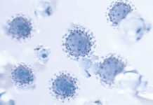 Витамин D: Роль и Значение в Практической Медицины