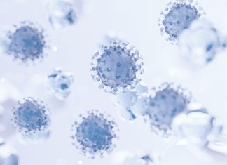 Витамин D: Роль и Значение в Практической Медицины