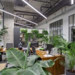 Оазис в мегаполисе: Фитодизайн как искусство озеленения помещений в Москве