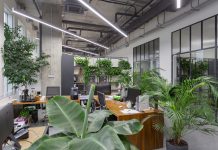 Оазис в мегаполисе: Фитодизайн как искусство озеленения помещений в Москве