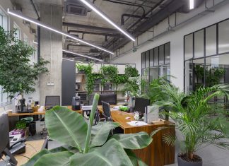 Оазис в мегаполисе: Фитодизайн как искусство озеленения помещений в Москве