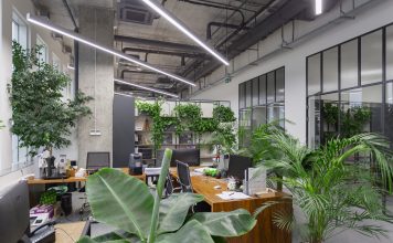Оазис в мегаполисе: Фитодизайн как искусство озеленения помещений в Москве