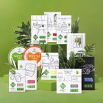 Продукты Greenway для дома: Экологичность и эффективность