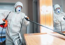 ПрофесЗдоровый дом: Как выбрать методы дезинфекции и дератизациисиональная