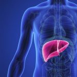 Ключ к здоровью: Восстановление и очищение печени – путь к энергии и благополучию