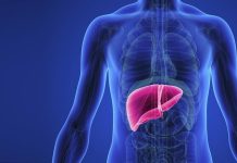 Ключ к здоровью: Восстановление и очищение печени – путь к энергии и благополучию