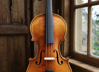 Обучение игре на скрипке: что включает в себя и сколько времени займет, рекомендации новичкам