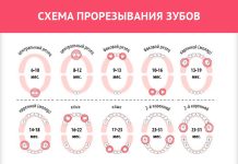 Как растут зубы у детей: все самое важное