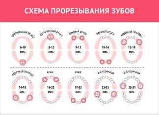 Как растут зубы у детей: все самое важное