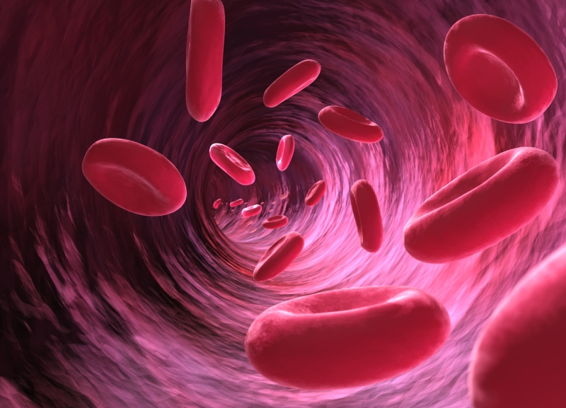 «Появляются синяки без причины»: гематолог — о первых симптомах лейкемии, новых методах диагностики и шансах на ремиссию