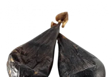 Медвежья желчь: секреты здоровья и польза