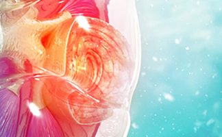 Создан российский аппарат искусственной почки