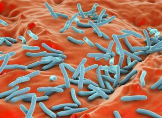 Врач Чечулина предупредила, кто находится в группе риска развития туберкулёза