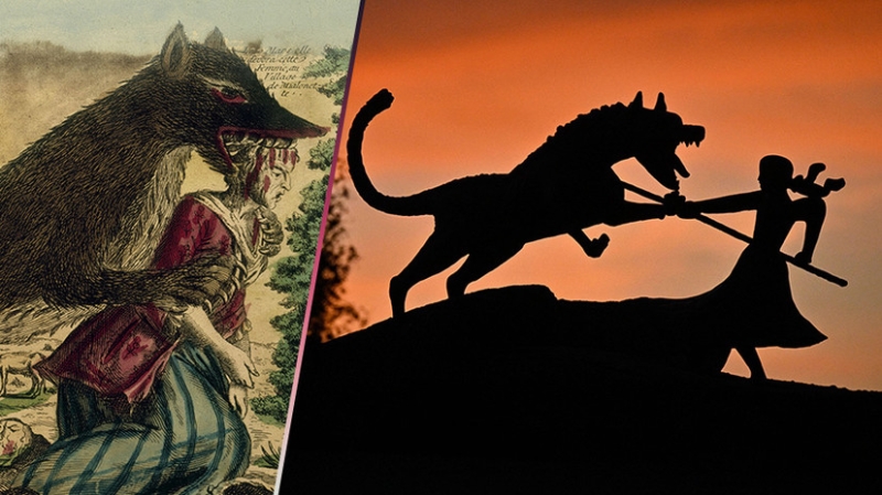 Жеводановский зверь: что за животное, погибшие, факты